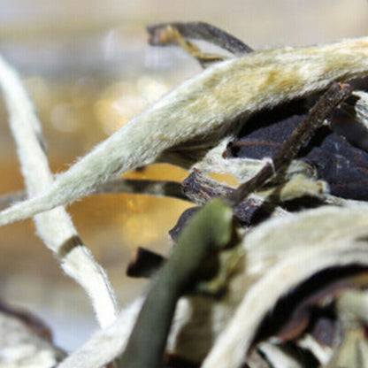 Yunnan Jing Gu Cha Puer Tea Moonlight White BudsPu'erPuerhLoserLeaf-Tea100g-
