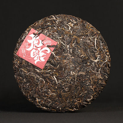 2022 Anning Haiwan Puer Tea Raw Pu-erh GOOD LUCK IN THE YEAR OF THE TIGER 400g