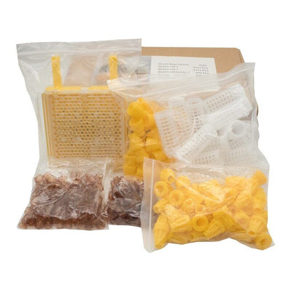 Beekeeping Kit Queen Bee Rearing System Larva Move Cage Beekeeper Supplies