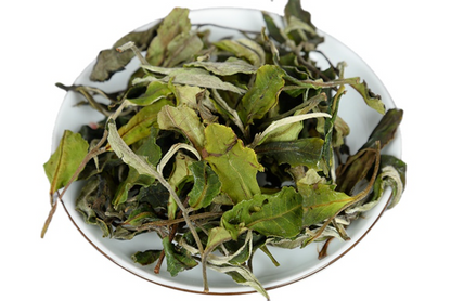 500g/1.1LB white tea early spring ancient Fuding white tea process white tea