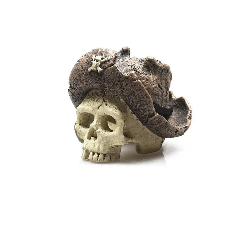 Aquarium Decoration Resin Pirate Skull Skeleton Head Lizards Terrarium Ornaments