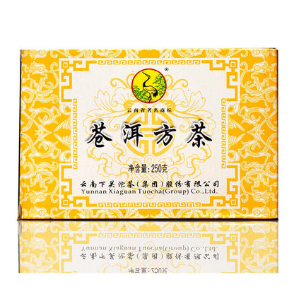 2011 Xiaguan Tuocha Raw Cang Er Fang Zhuan Tea Shen Pu Erh Aged Tea Brick 250g
