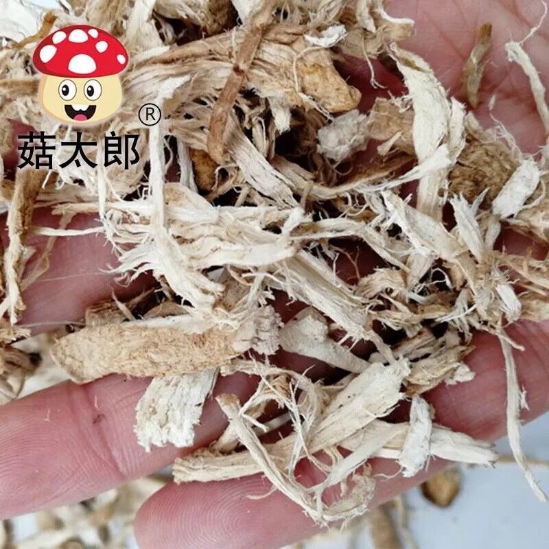 Dried Shiitake Mushrooms stem Wooden Organic Kitchen Food Natural Fungus 香菇脚
