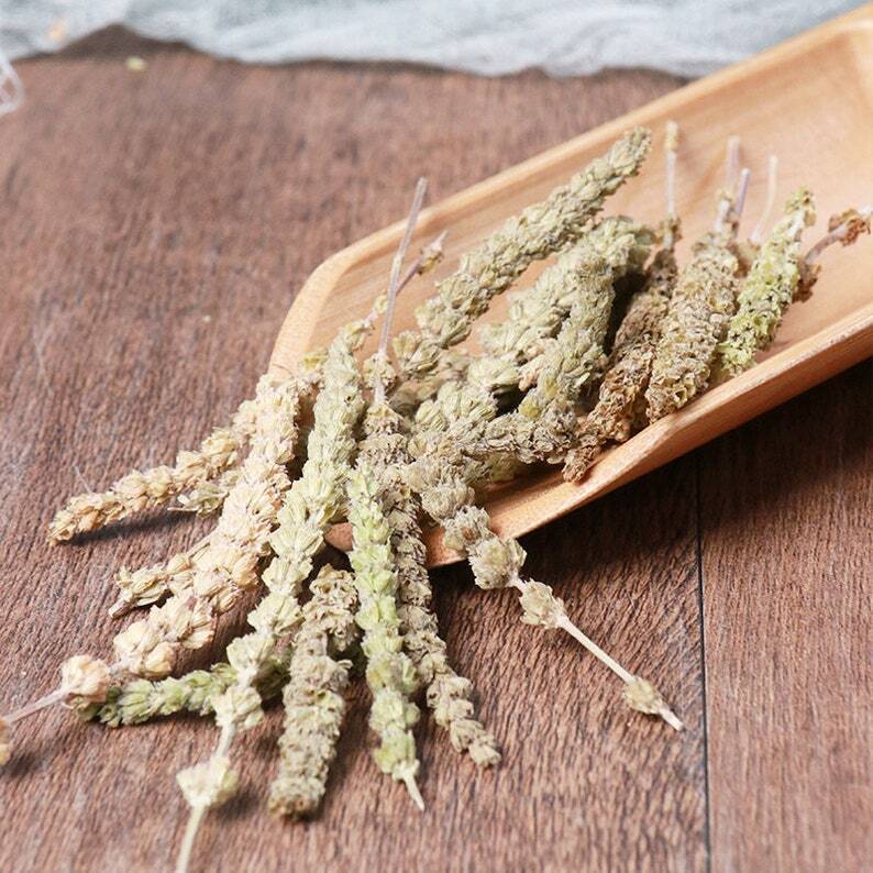 Organic Herbal Fineleaf Schizonepeta Herb Herbal Schizonepetae Healthy Tea