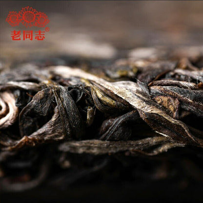 Premium Raw Puer Tea Aged Tree Sheng Puerh Tea 500g Haiwan Pa Sha Ancient Tree-