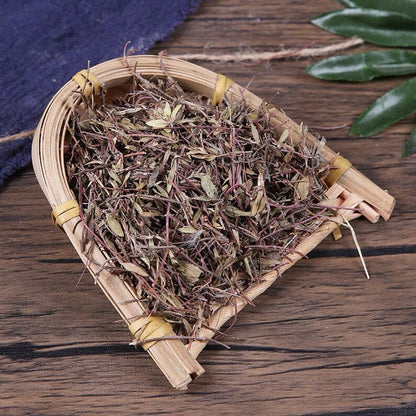Organic Herbal Thymus Mongolicus Bailixiang Whole Herbs Great Quality