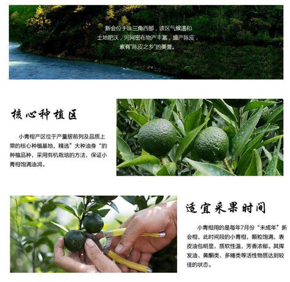 Premium Xinhui Green Orange Peel Chenpi Citrus Puer Pu'er Puerh Ripe Tea 100g