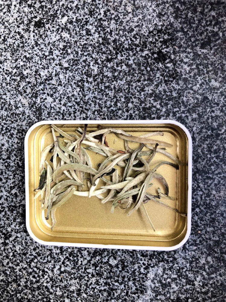 Authentic Fujian White Tea 2023明前头采新茶/正宗白茶福建白毫银针/特级高山荒野白豪银针罐装 50g/罐