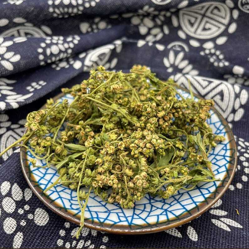 Pure Natural Penthorum Chinense Pursh. Oriental Penthorum Great Quality