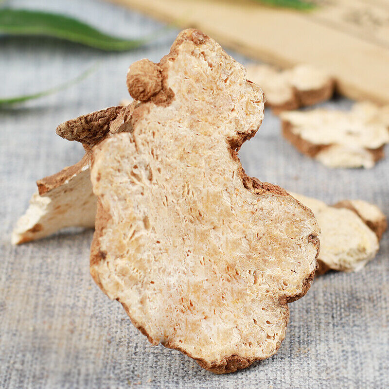 Atractylodes Macrocephala Koidz Chinese Herbal Medicine Natural Baizhu Herb Tea