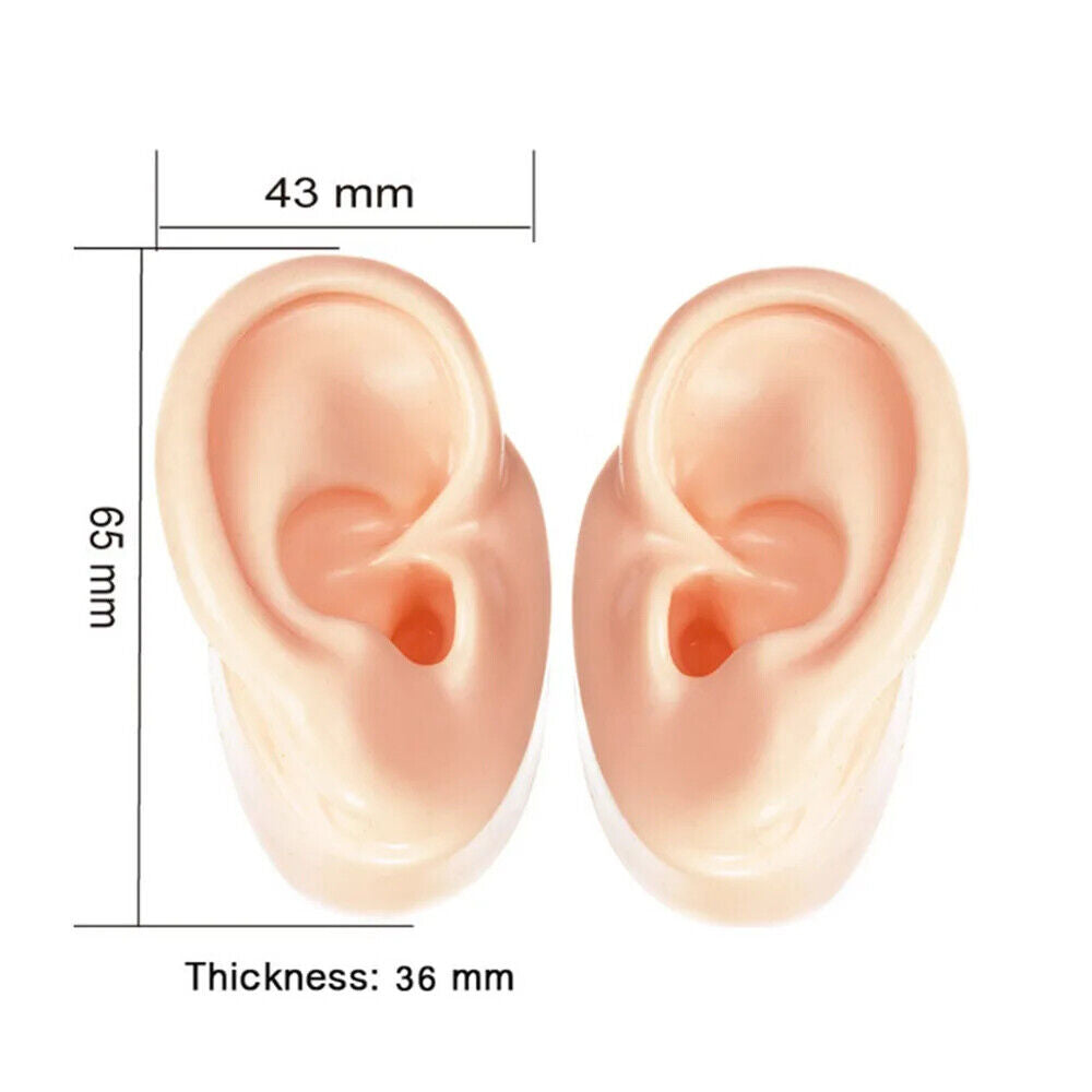 Ear Model 1 Pair Silicone Colorful Demo For Hearing Aids Display Educational Kit