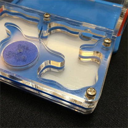 Ant-Grape Series Acrylic Plane Design Feeding Area Insect Antvilla 10.6x12.6x5cm