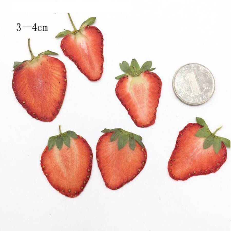 Dried Fruits Pressed Strawberry Meat Slices Plant Herbarium DIY Craft Decor 5Pcs