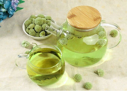 Wild Scindapsus Aureus Flowers Natural Himalayan Tibetan Herbal Tea