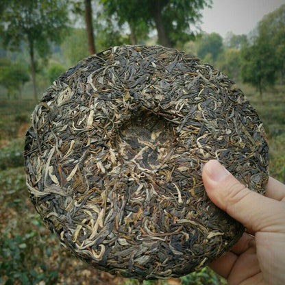Green TeaZhonghong India Mengku Spring Tea 357g Yunnan Pu'er Tea Cake
