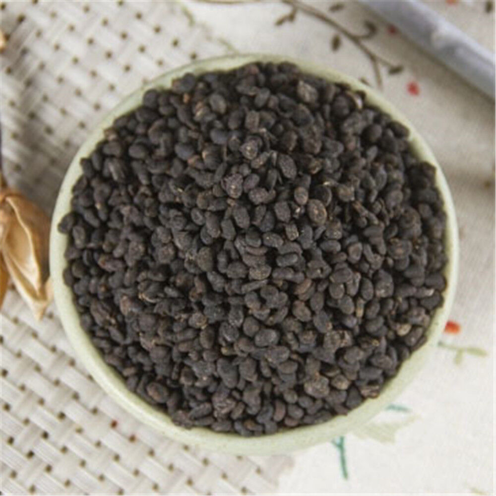 Psoralea Fruit Chinese Herbal Tea 100% Natural Bu Gu Zhi Ecology Herbal Medicine