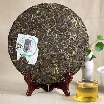 Haiwan High Mountain Ancient Tree 2014 Old Comrade Raw Puer Tea 500g Batch 141