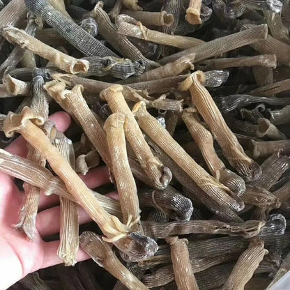 50 gram Top quality New Precious dried seafood Sipunculus nudus sandworm 沙虫