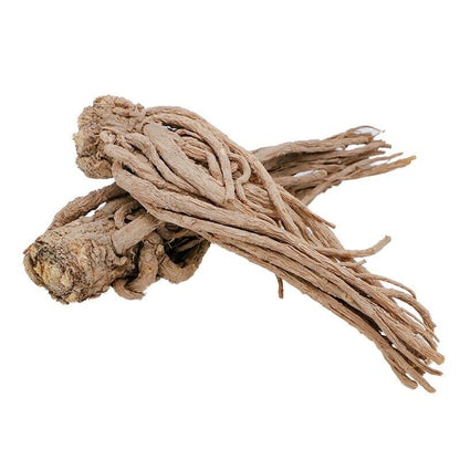 Dried Radix Angelica Sinensis Root Premium Dong Quai Dang Gui 当归 Chinese Herbs