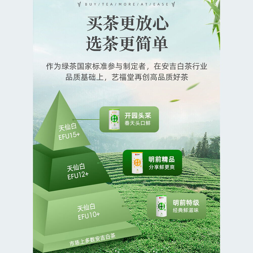 EFU12+ Tian Xian Bai 2021 New Tea Rare Young Buds Spring Green Tea100g-