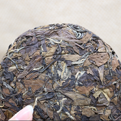 100g/3.52oz*3 Alpine Sun Date White Tea Fuding White Tea Shou Mei Tea Cake Tea