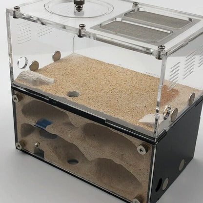 Insect House Ant Farm Colony Formicarium Auto Heating 15x10x13.5cm Concrete Sand