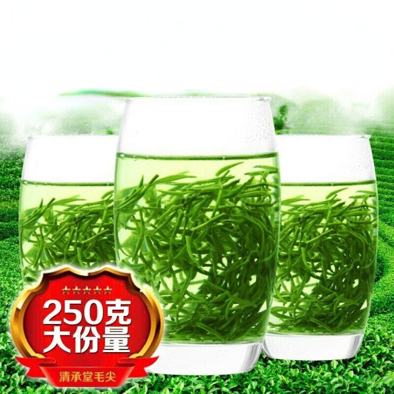 Xin Yang Tea Mao Jian Green Tea Ming Qian 250g Tin Premium Xinyang Maojian Tea