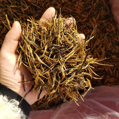 2023 New tea honey aroma Dianhong Golden Needle 2023新茶上市蜜香滇红金针 凤庆大叶种云南红茶 500g