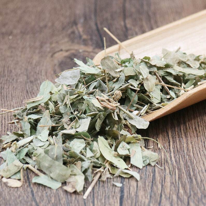 Dried Abrus Herb Herbal Abri Abrus Cantoniensis Hance Makes A Healthy Tea