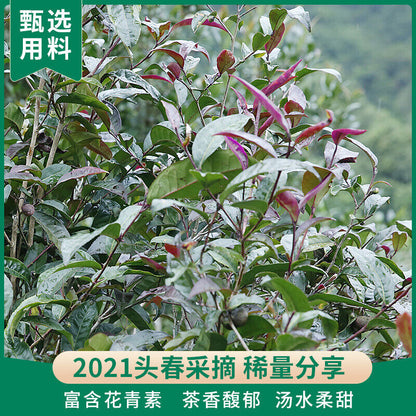 200g Aged Puerh Zi Juan Dr. Pu'er Tea Wild Purple Ancient Tree Pu-erh Tea