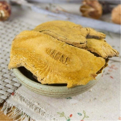 Hu Zhang Ecology Herb100% Natural Knotweed Fallopia Japonica Polygoni Cuspidati
