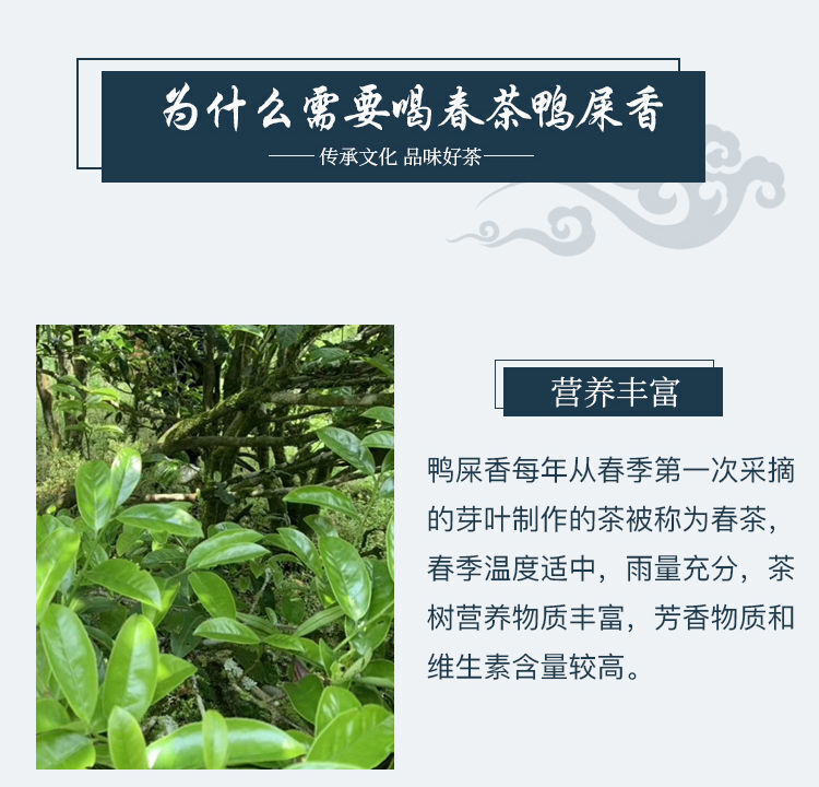 Highly aromatic oolong tea 鸭屎香高香型 单枞凤凰单丛茶潮州乌龙茶叶