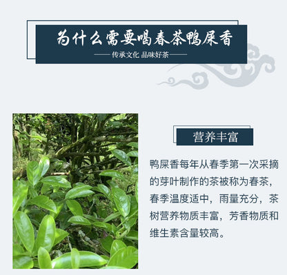 Highly aromatic oolong tea 鸭屎香高香型 单枞凤凰单丛茶潮州乌龙茶叶