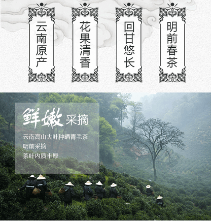 Yunnan Plateau Organic Supreme Bi Luo Chun Pre-Ming Snail Spring Green Tea 250g