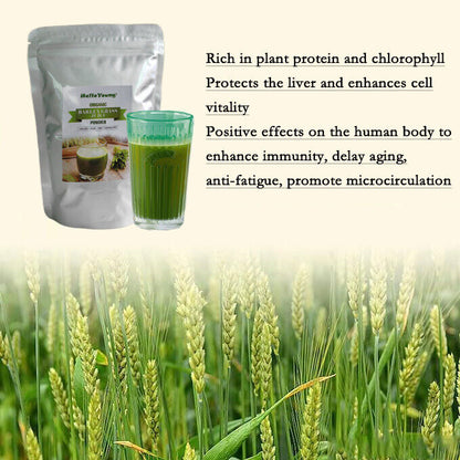 barley powder Organic Barley Grass Powder 250g barley grass lowering cholesterol