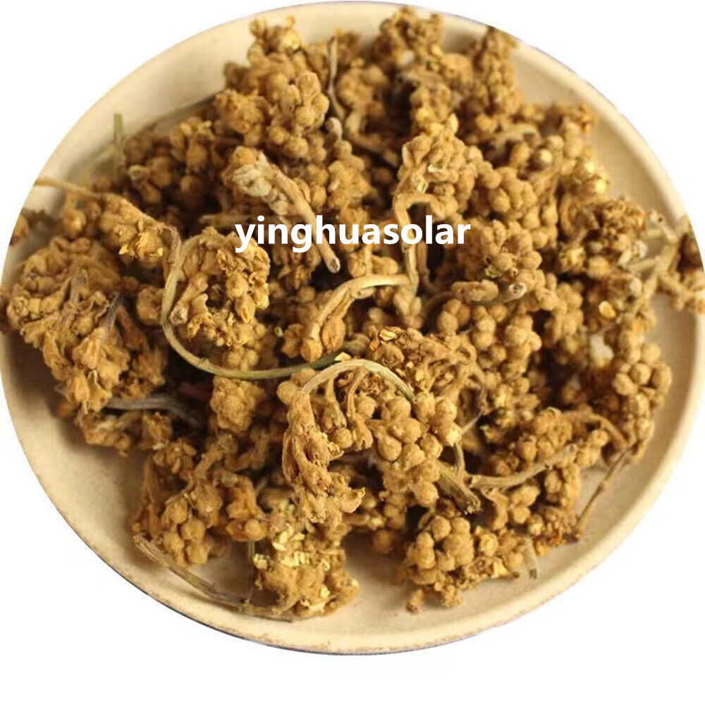 Loquat Flower Tea Relieving Cough Lung Nourishing 枇杷花风热感冒止咳润肺清热解毒维持新陈代谢改善补充能量