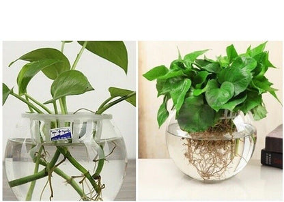 Goldfish Bowl Desktop Round Aquarium 2.8/4L Transparent Plastic Plant Fish Tanks