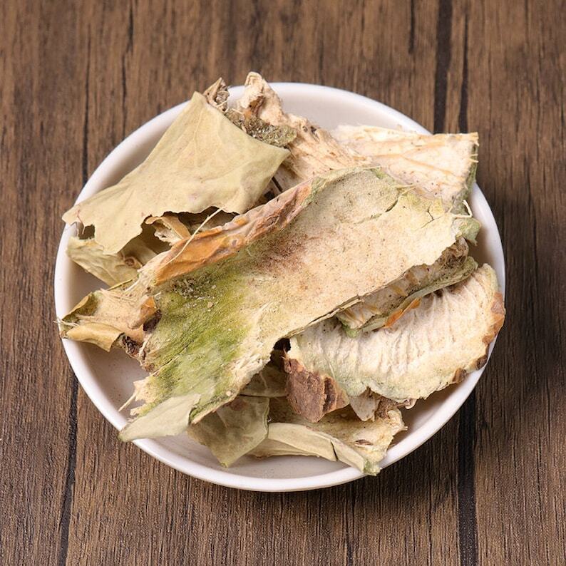Herbal Radix et Caulis Opuntiae Dillenii Cholla Root and Stem Great Quality