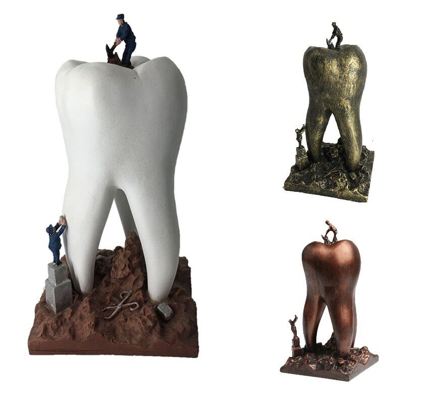 Sculptures Dental Artware Teeth Resin Craft Toys Figurines Clinic Decor 9x9x18cm