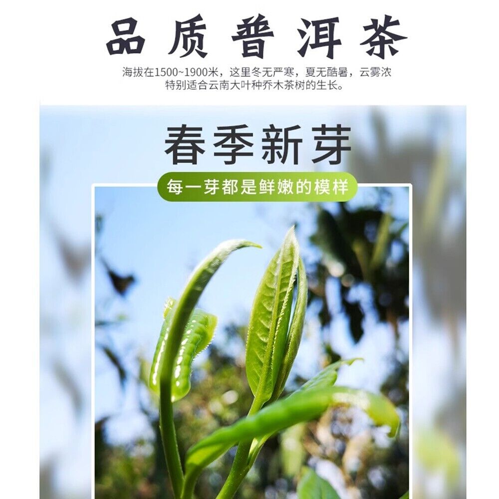 Pu'er tea, 2017, Menghai Spring Rhyme, Menghai Spring Rhyme, 357 grams, raw