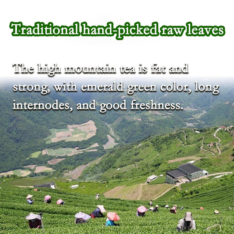 Taiwan milk Oolong Tea Organic Jin Xuan Milk Oolong Taiwanese Oolong Tea