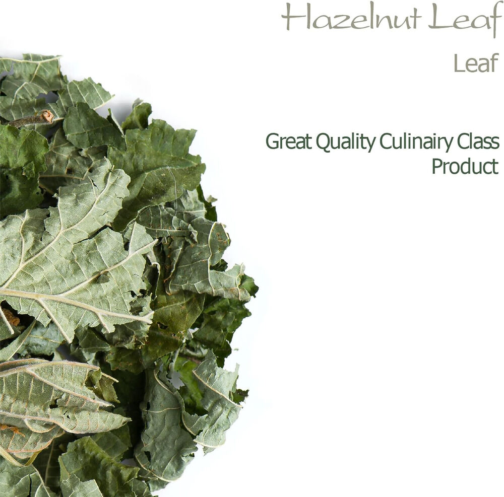 Hazelnut Leaf Tea - Corylus Avellana - 200g