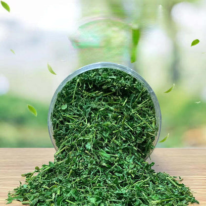 280g Abrus Cantoniensis Hance Herbal Tea Jigucao Chinese Herbs Tea Liver Protect