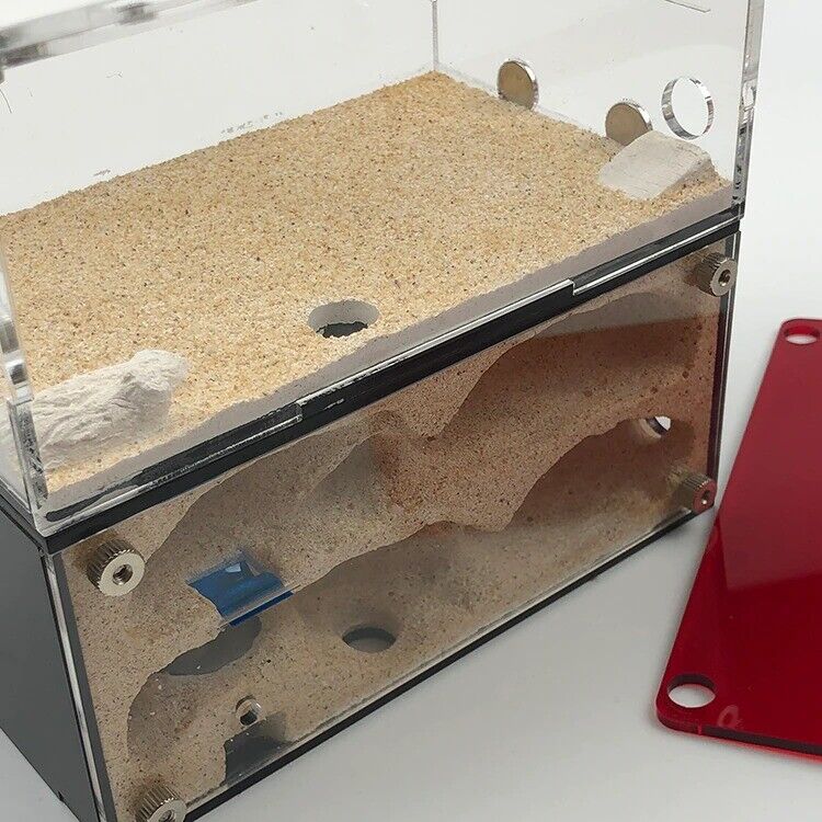 Insect House Ant Farm Colony Formicarium Auto Heating 15x10x13.5cm Concrete Sand