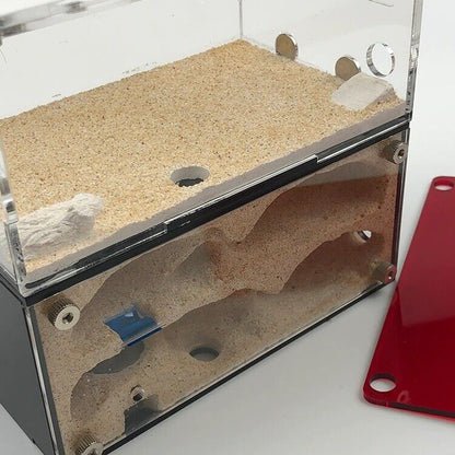 Insect House Ant Farm Colony Formicarium Auto Heating 15x10x13.5cm Concrete Sand