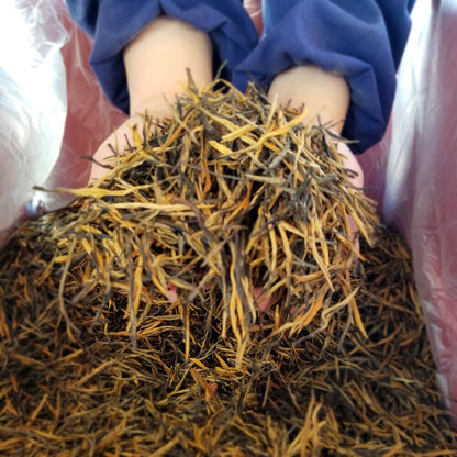 2023 New tea honey aroma Dianhong Golden Needle 2023新茶上市蜜香滇红金针 凤庆大叶种云南红茶 500g