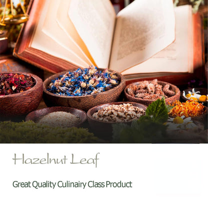 Hazelnut Leaf Tea - Corylus Avellana - 200g