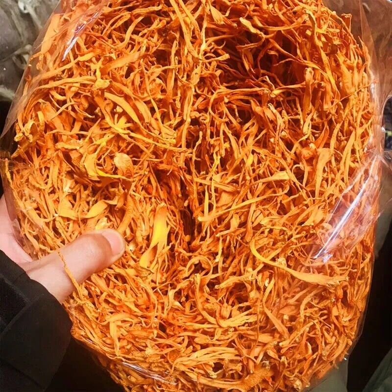 500g Organic Premium Super Mushroom Cordyceps Militaris Fungus Chong Cao Hua Tea