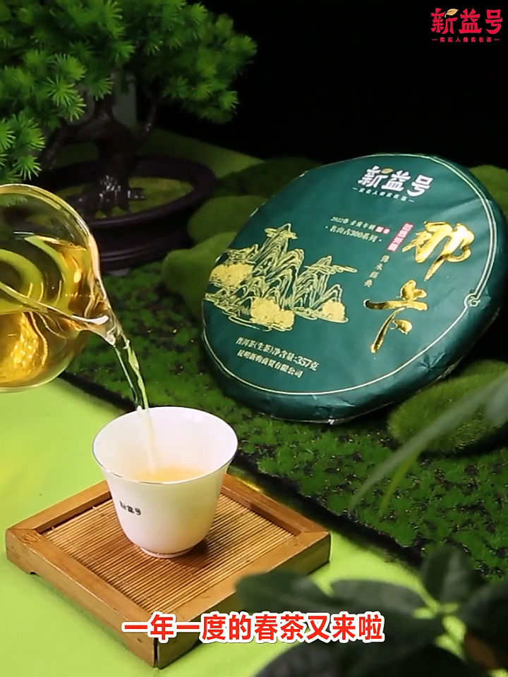 357g,2022 Yunnan XIN YI HAO NaKa 300 raw puerh tea puer Spring green Ancient er