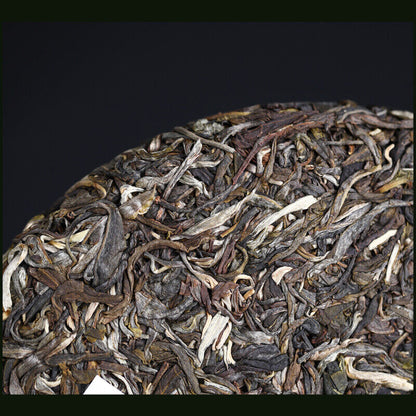 Haiwan Zhang Jia San Dui Puer Tea Bulang Mountain Sheng Puerh 500g